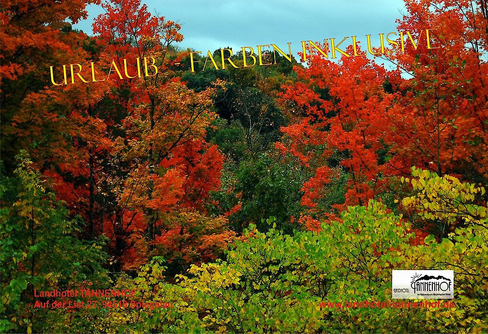 INDIAN SUMMER